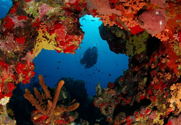 Huurauto Curacao Watamula Curacao