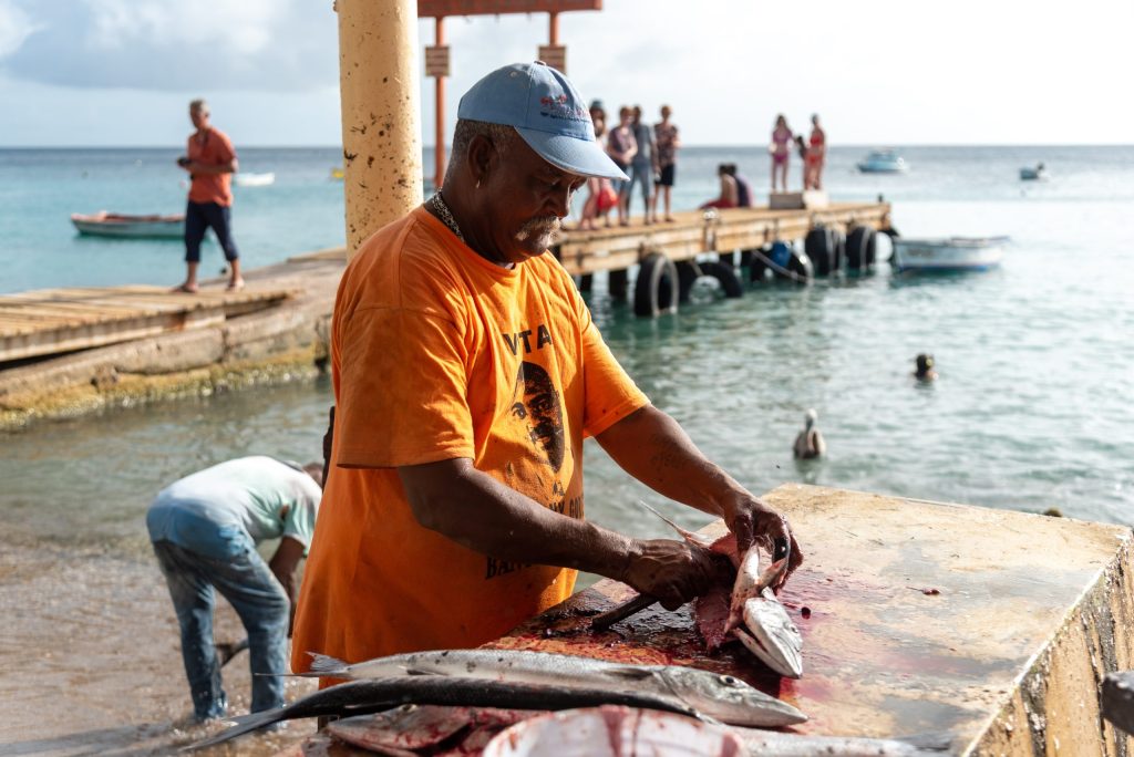 curacao playa grandi autoverhuur