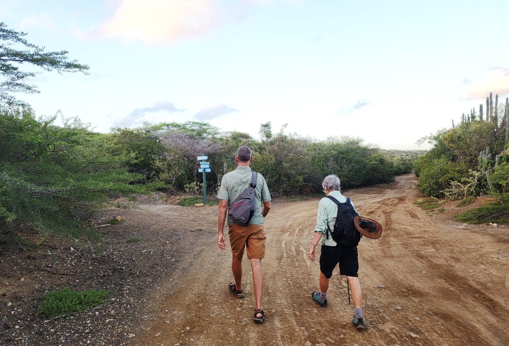 curacao hike goedkoop auto huren Ascension