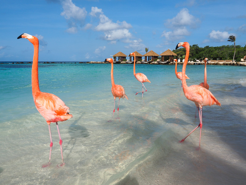 Aruba Curacao Auto Huren